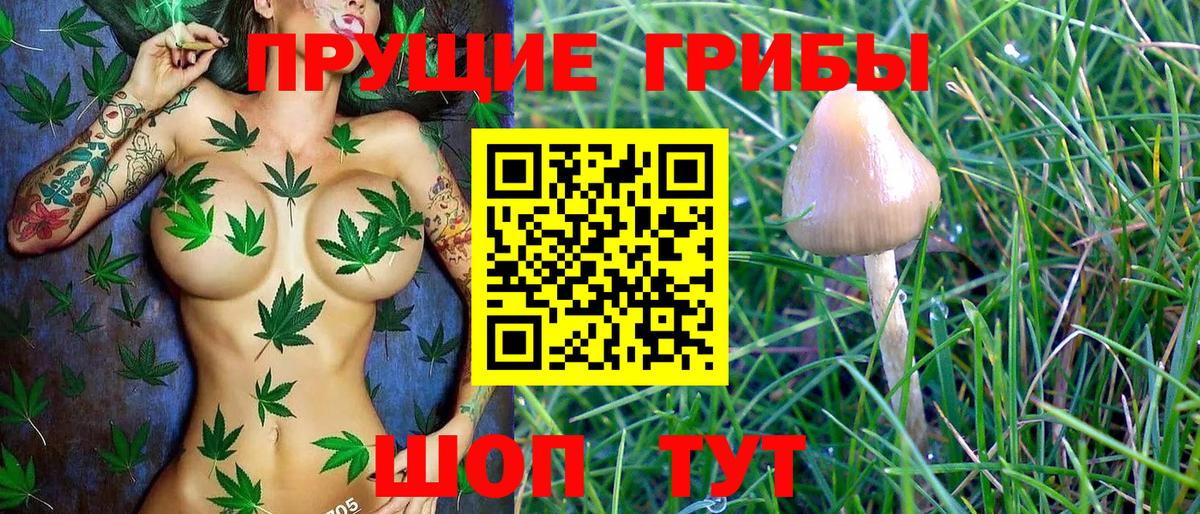 как найти закладки  Псилоцибиновые грибы Psilocybe  Вход с VPN  Лосино-Петровский 